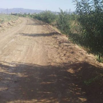 یک ونیم هکتار باغ پسته و بادام