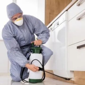 گال چیست ؟ | سم گال | برای پاکسازی منزل از گال چه کار باید کنیم ؟ | فروشگاه سم در تهران | شرکت سمپاشی خانه / منازل ، ساختمان ، محل کار | سم پاشی گال در تهران | تلفن شرکت سمپاشی گال در تهران