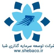 آموزش ارزدیجیتال - روش های سرمایه گذاری و کسب درامد