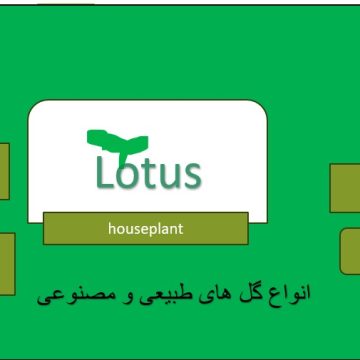 کارت ویزیت